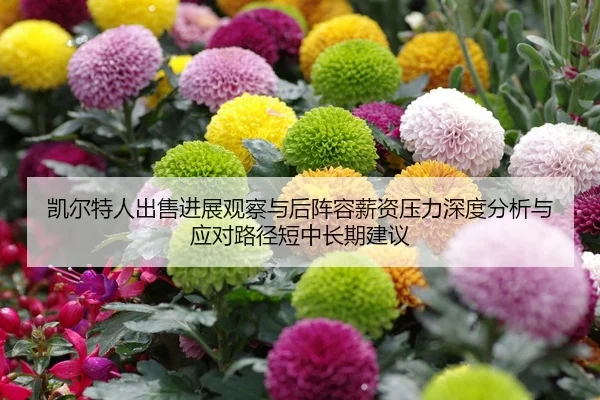 kai-er-te-ren-chu-shou-jin-zhan-guan-cha-yu-hou-zhen-rong-xin-zi-ya-li-shen-du-fen-xi-yu-ying-dui-lu-jing-duan-zhong-2-524.jpg